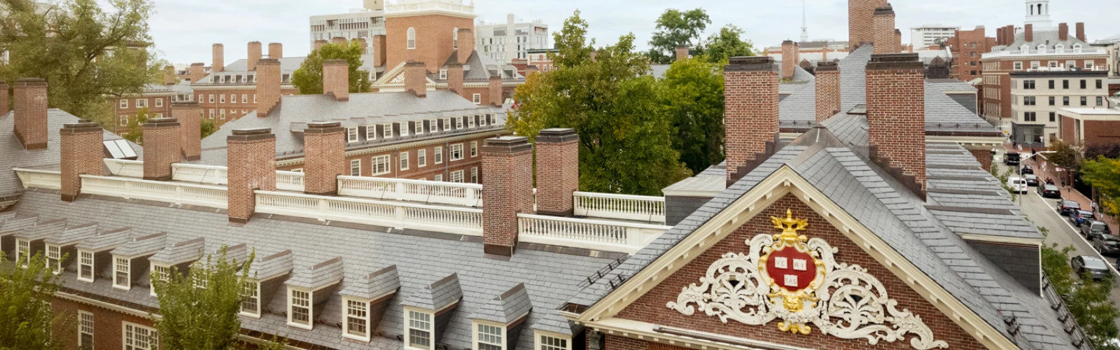Pet-Friendly Hotels Near Harvard University: Where to Stay with Your Furry Friend