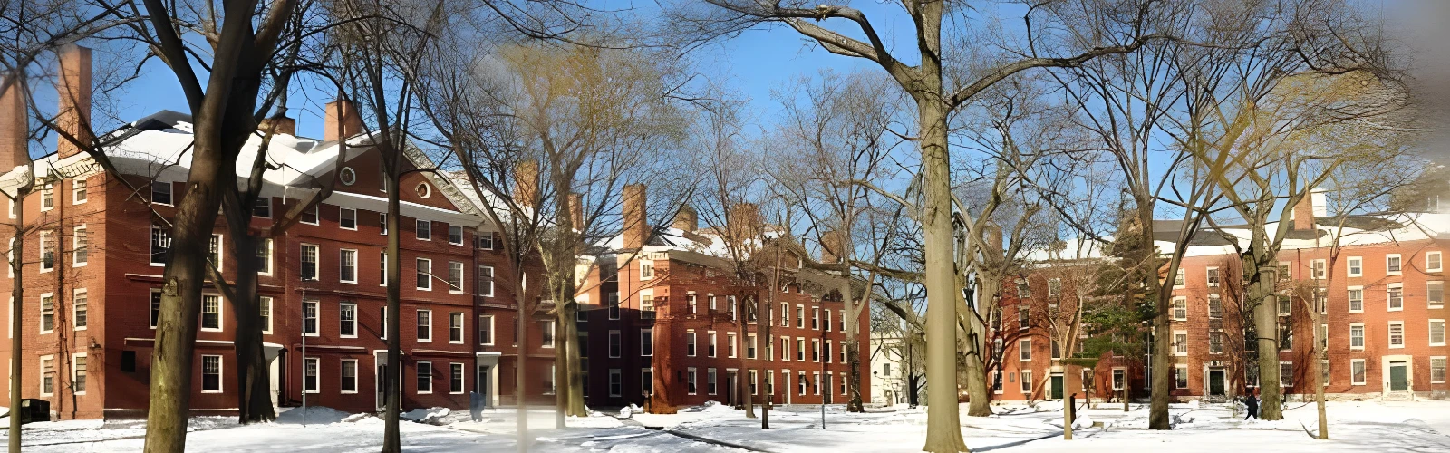 Where Luxury Meets Academia: Uncover the Ultimate 5-Star Experience Near Harvard